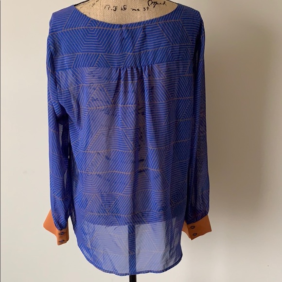 Blue and Brown Sheer Blouse - Picture 5 of 5